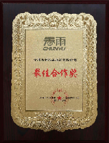 春雨最佳合作奖